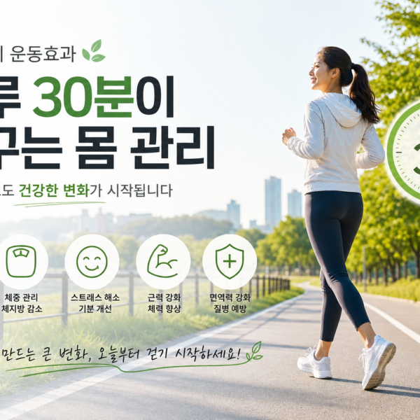 건강 걷기 운동효과 하루 삼십분이 바꾸는 몸 관리 관련 이미지