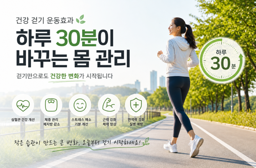 건강 걷기 운동효과 하루 삼십분이 바꾸는 몸 관리