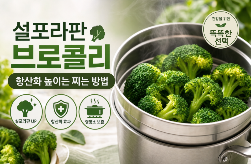 건강 설포라판 브로콜리 항산화 높이는 찌는 방법