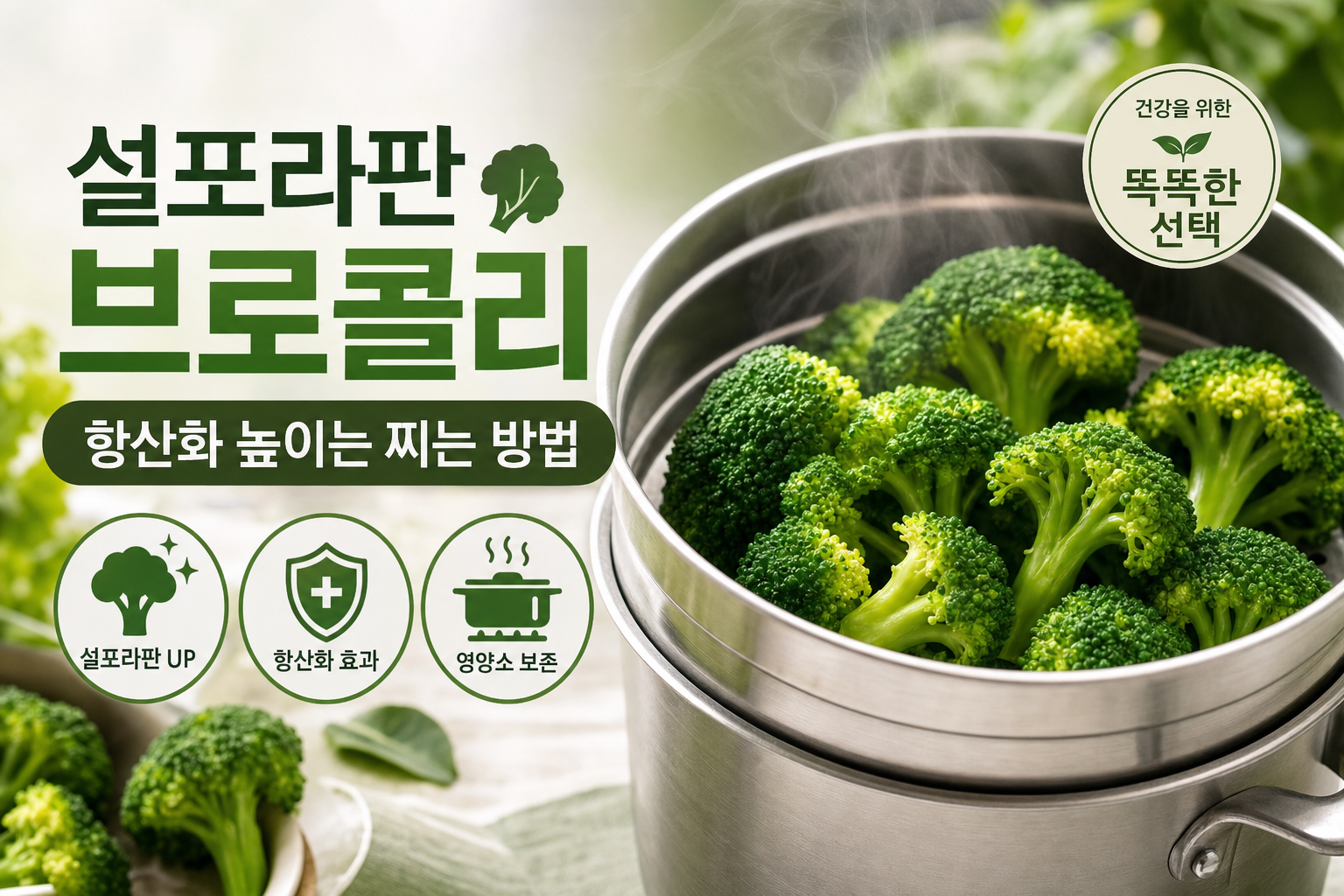 건강 설포라판 브로콜리 항산화 높이는 찌는 방법 관련 이미지